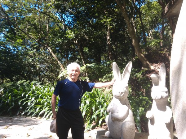 指南宮步道1453926