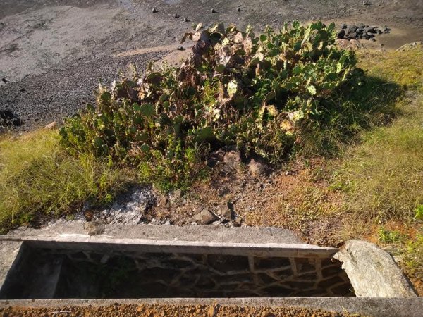 雁情嶼（本島）2879603