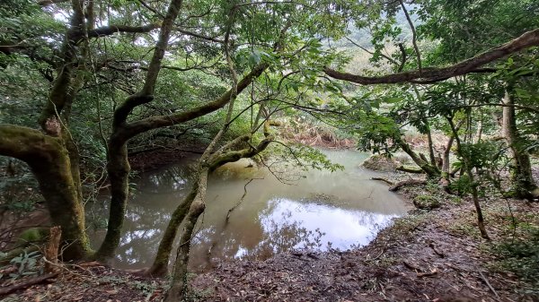 台北大縱走第一段1249199