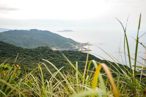 大武崙山｜小百岳2835059