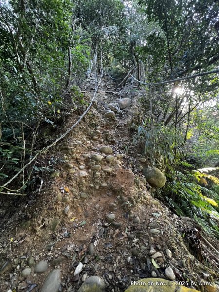 苗栗三員縱走2942834