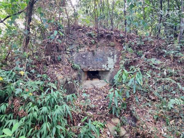 新竹湖口｜萬年道、仁和步道、金獅古道、漢卿步道2912209