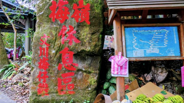 梅嶺竹子尖山2987421