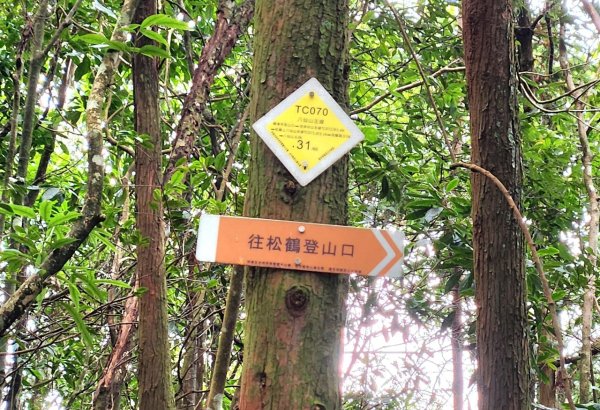 【中級山】谷關七雄八仙山2745073