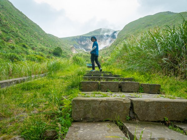 【行腳陽明山】初夏裡蒼翠欲滴的環七星山與百拉卡公路人車分道2188665