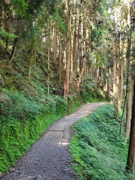 【嘉義 | 特富野】1069240