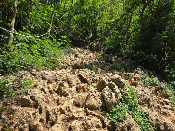 南壽山步道2805694