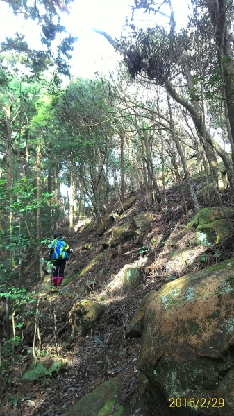 20160229新竹關西蓮苞山,外鳥嘴山31380