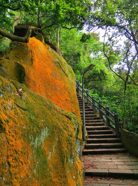 象山親山步道72124