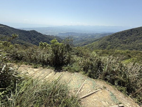 2025/03/21 聖母山莊 抹茶山 三角崙山2935095