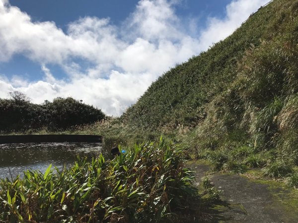 台灣抹茶山的滋味783324