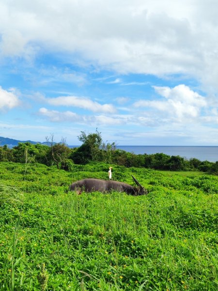 福隆舊草嶺環狀線單車行