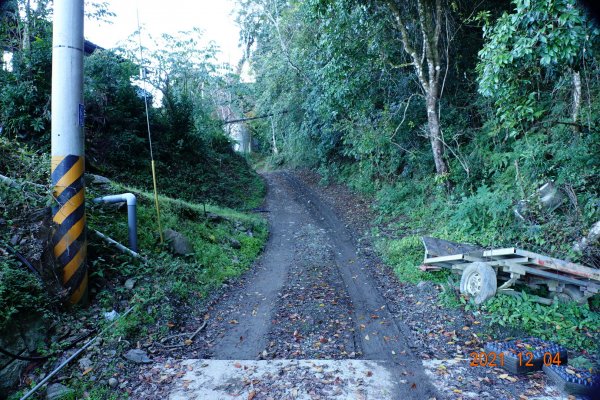 新竹 尖石 養老山、基那吉山1538906