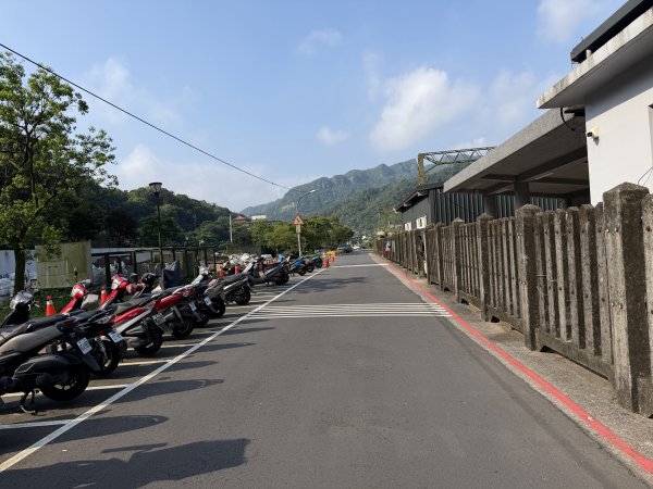 2026_0412 鐘萼木賞花 - 淡蘭國寶樹3035271