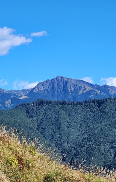 【中級山縱走】羅馬縱走，走進神木的夢幻童話森林世界2943248