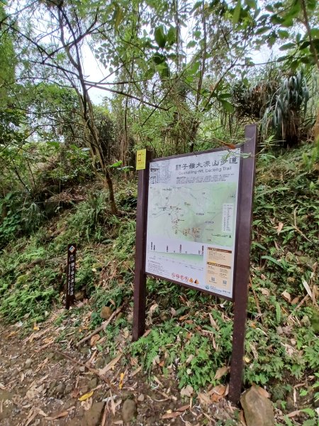 【台南白河】雞籠山+九龍山+大凍山O繞縱走2797168