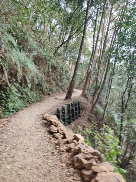 橫沙笛縱走2668676