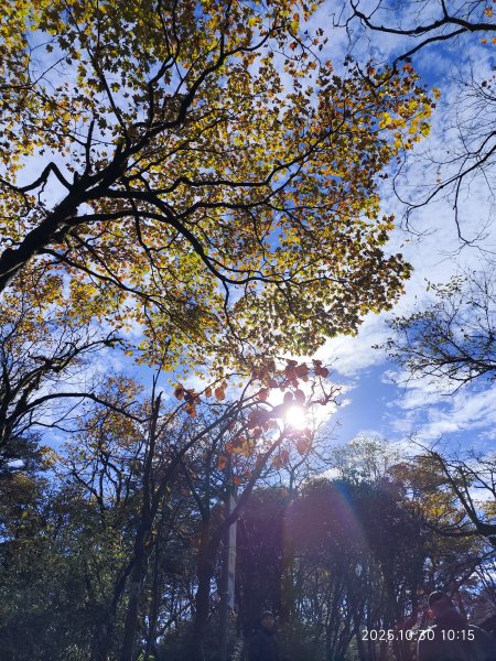 四川峨眉山 (2-1)2940262