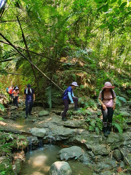 【苗栗】龍王峽谷秘境1777791