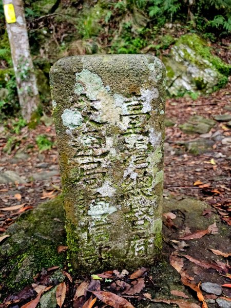 瓦拉米步道(登山口至佳心段)-(花蓮)臺灣百大必訪步道2789414