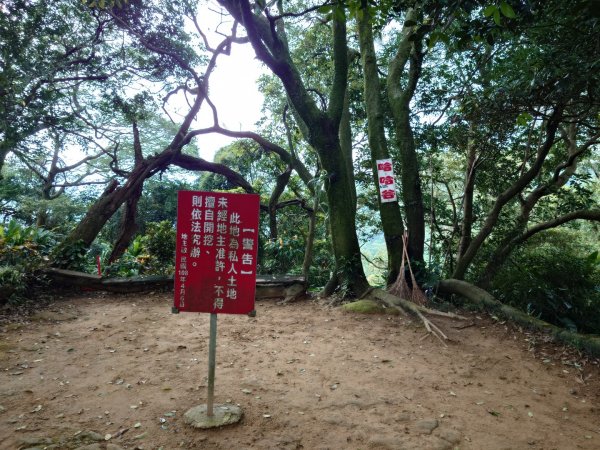 微笑山線之大棟山系2838151