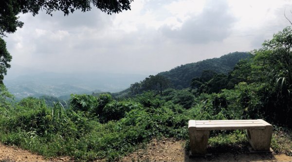 關刀山步道 之 宮崎駿式的浪漫🌹1489201