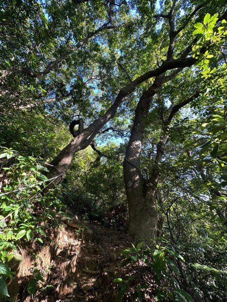 圓山水神社上劍潭山2263355