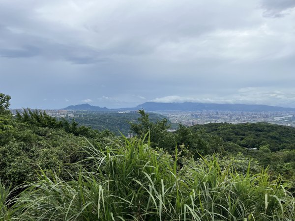 [微笑山線_第一段] 2025_0720 大棟山系_大棟山2843598