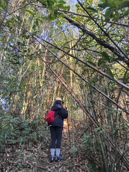 2024.02.01 凌空廊道登煤源山2843946