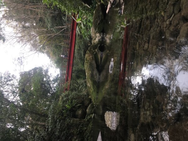 四十二份湧泉2723158