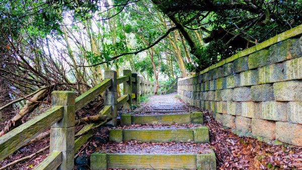 雲嘉五連峰2948634