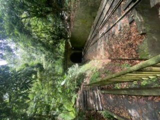 200621 貓仔們NO14小百岳獨立山1007231