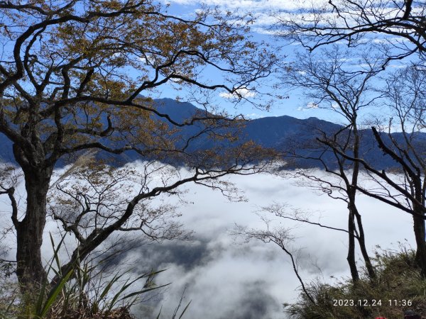 虎山雲海_水雲三星2023.12.24