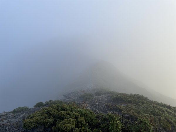 一日小O聖 2024 11/222865486