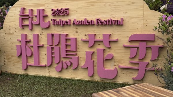 2025台北杜鵑花季｜大安森林公園｜迎曦花丘｜20250307｜峯花雪月封面