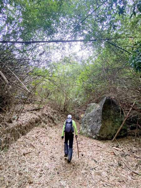 屏東牡丹高士神社、高士山、石門山步道輕鬆走    2021/11/281532902