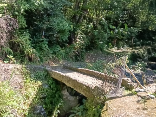 雙溪區內盤山坑古道+石硿子越嶺古道+盤山坑古道+過火坪古道O型2914349