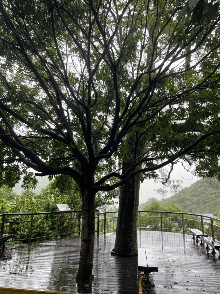 台北大縱走第四段2798728