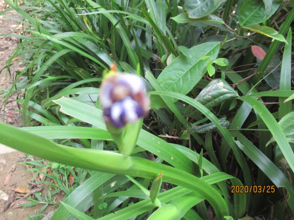 烘爐地南勢角山908511