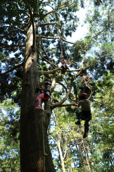 【精選活動】 高高在上 跟我們「攀樹趣」