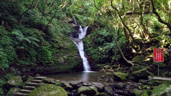 茄苳瀑布,和尚頭山,四分尾山,大尖山2241925