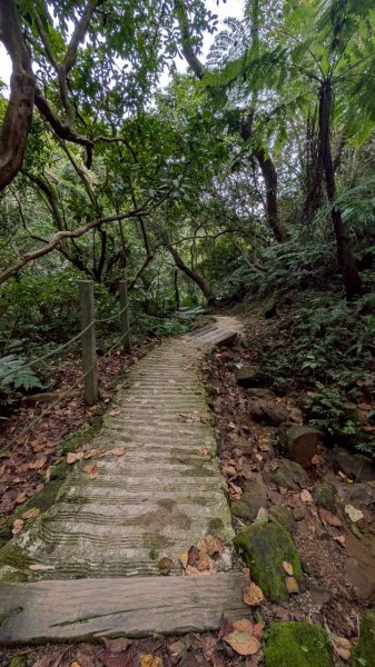 天上山步道2980443