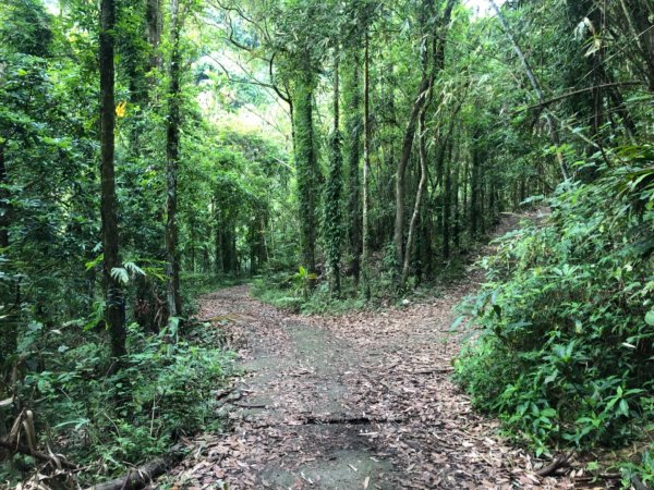 台南市白河區白鷲山森林三角點1703968