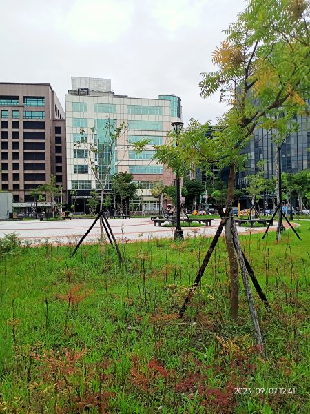 內湖大港墘公園、宏匯瑞光廣場【走路趣尋寶、健康大穀東】2279749