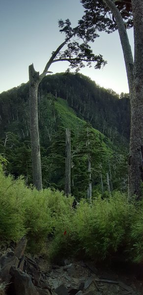 白姑大山之旅743547