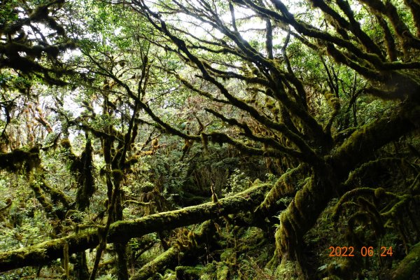 宜蘭 大同 多門山1744482