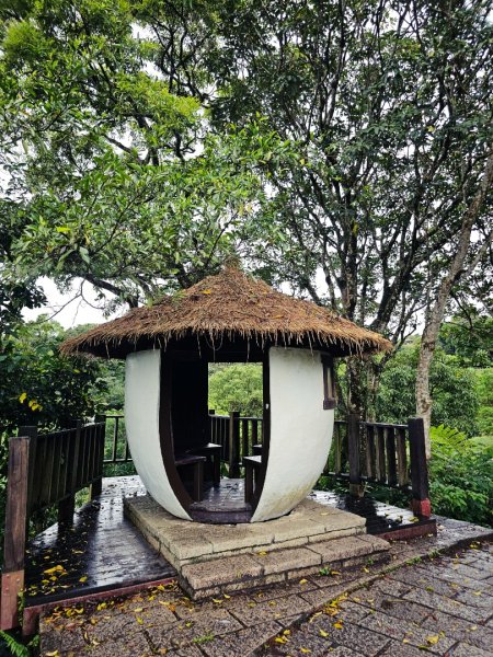 2026年臺北大縱走第七段：世界山莊至飛龍步道政大後山3032039