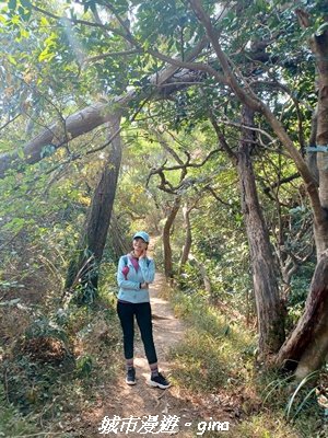 【新竹東區】十八尖山x十八尖山東峰x石家魚丸x東門倆冰糖葫蘆x城隍廟鄭家蛋糕2984207