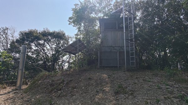 西阿里關山3033629