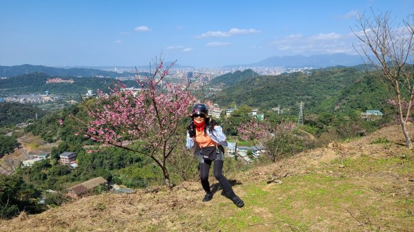 遇上櫻花季的直潭山1252645